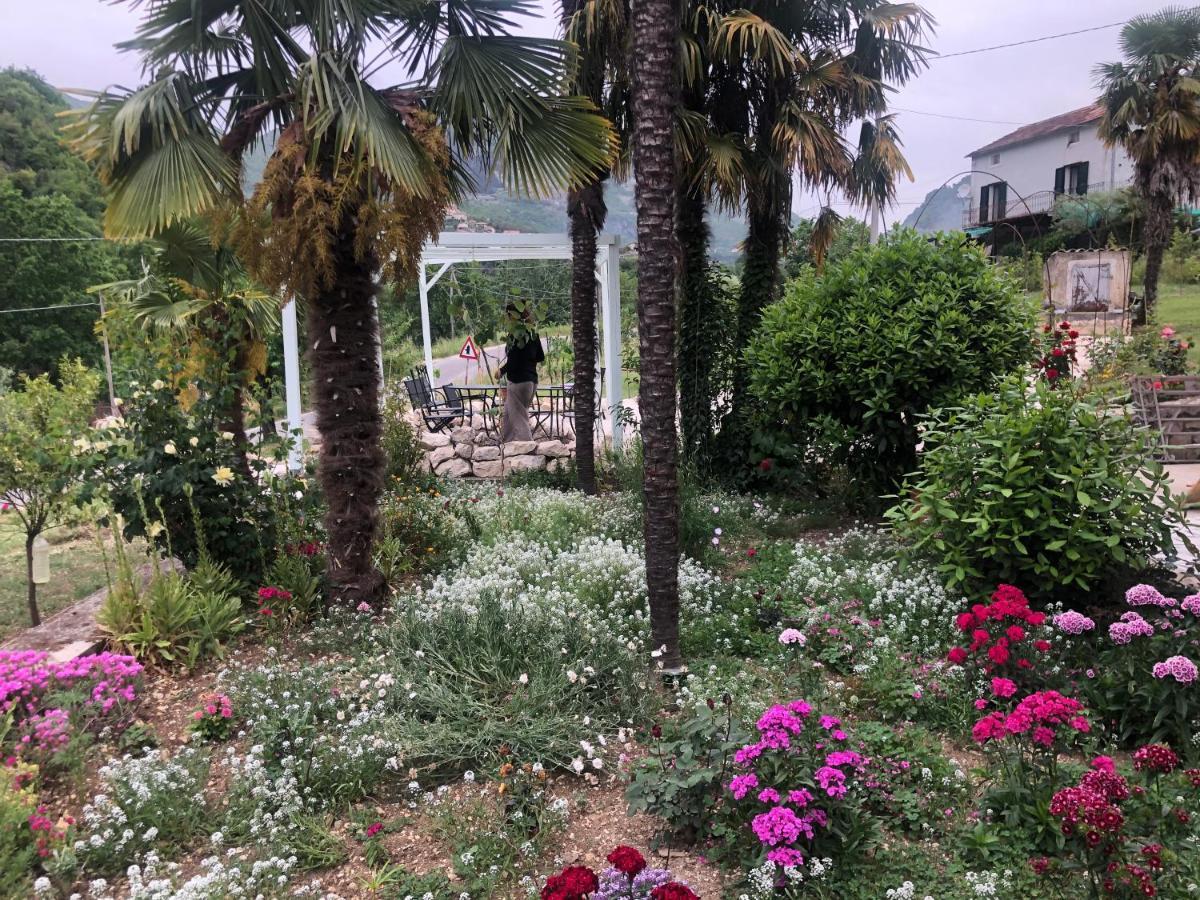 Villa Iannetta Di Monte Cassino Belmonte Castello Bagian luar foto